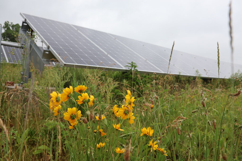 Investing in renewables is about more than just protecting the climate