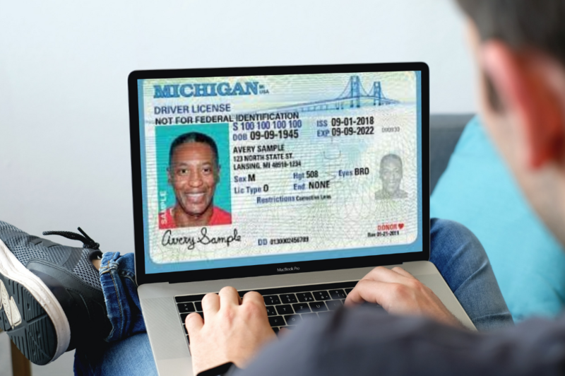 Pv Module Sample Proposed digital ID would be disallowed for use when voting ...