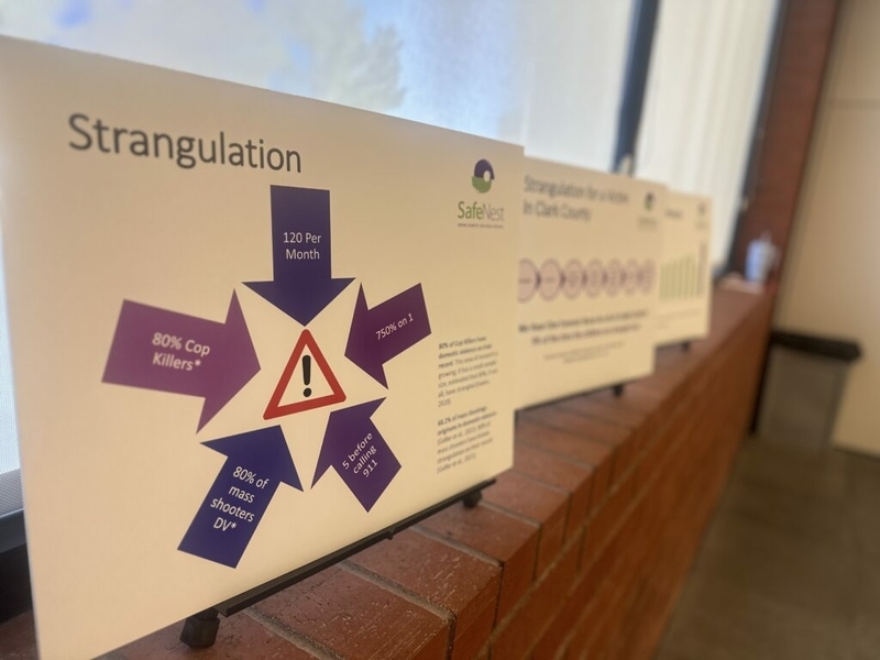 Strangulation emerges as a major concern for domestic violence care providers in Michigan