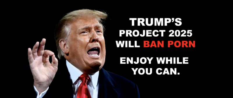 U of M alum&amp;rsquo;s Super PAC targets men, warning Project 2025 would ban porn