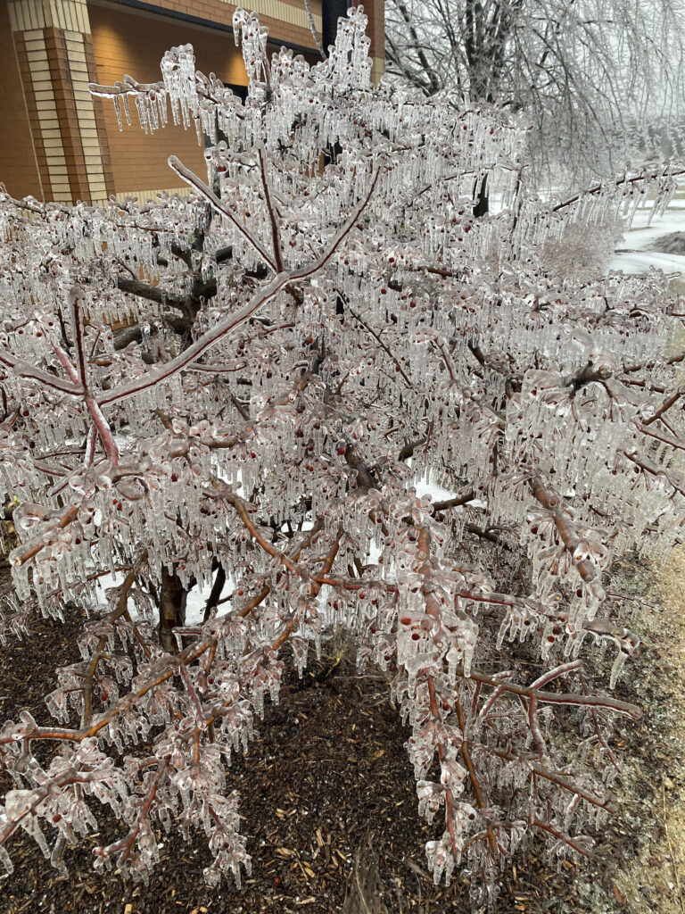 Whitmer activates emergency operations center following severe ice storms in northern Michigan