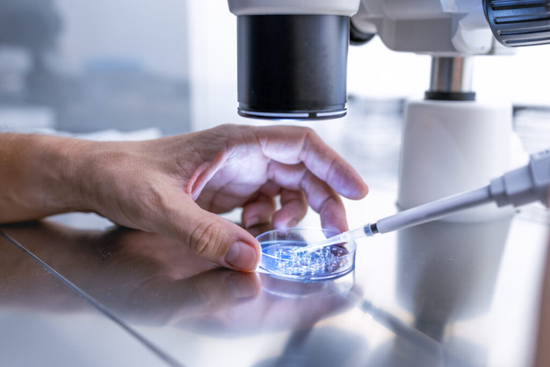 Michigan House committee considers legislation to penalize doctors for fraud in fertility treatments
