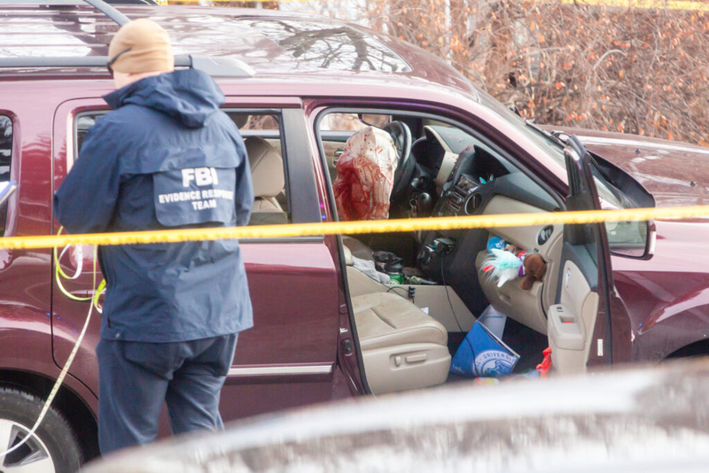 Michigan Dems outraged at ICE while GOP issues support after agents kill Minneapolis woman