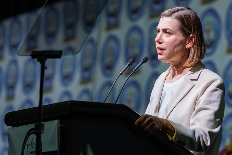 Elissa Slotkin to join with Abdul El-Sayed at Warren town hall