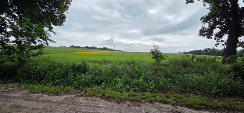 How a rural Michigan community stopped a proposed 1.4-gigawatt power plant