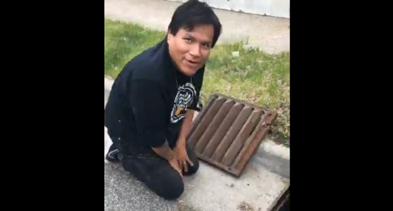 Minneapolis outreach workers rescue ducklings from storm drain | News ...