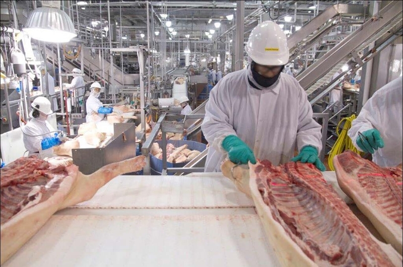 Major meatpackers have taken in more than half a billion in tax subsidies since 2006