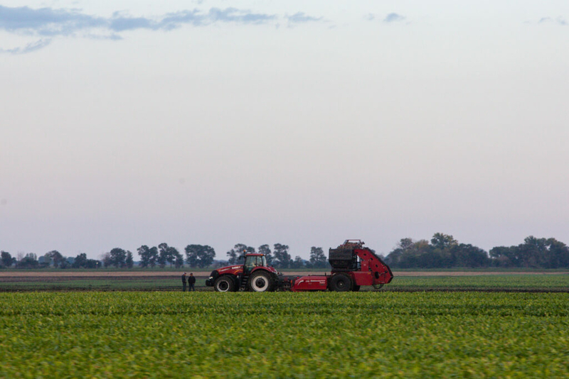 Minnesota farms are consolidating and other takeaways from the Census of Agriculture