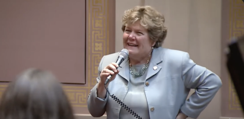 Former Sen. Ann Johnson Stewart running in special election for Minnesota Senate seat