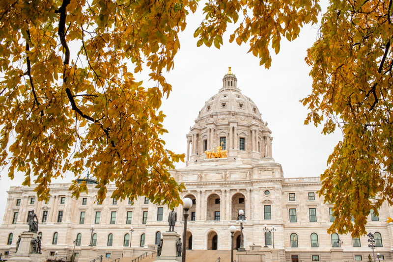Democrats poised to maintain majority in Minnesota Senate following special election