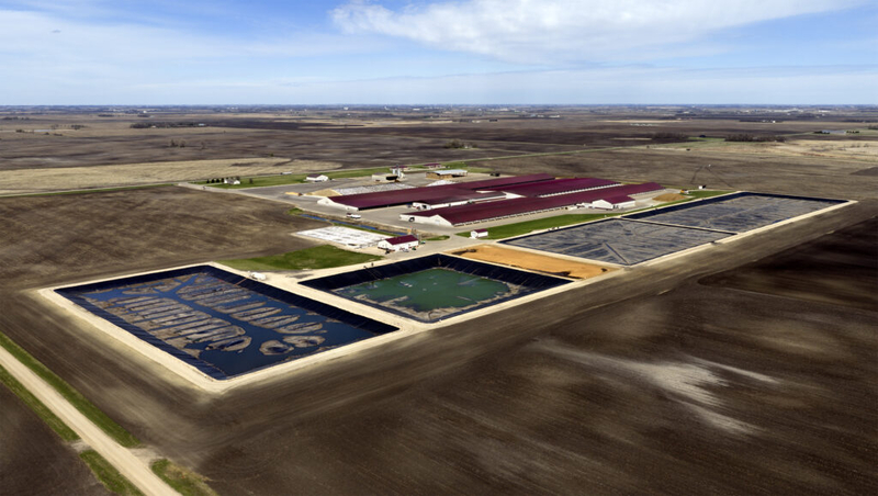 Opponents sue state over Morris mega-dairy expansion