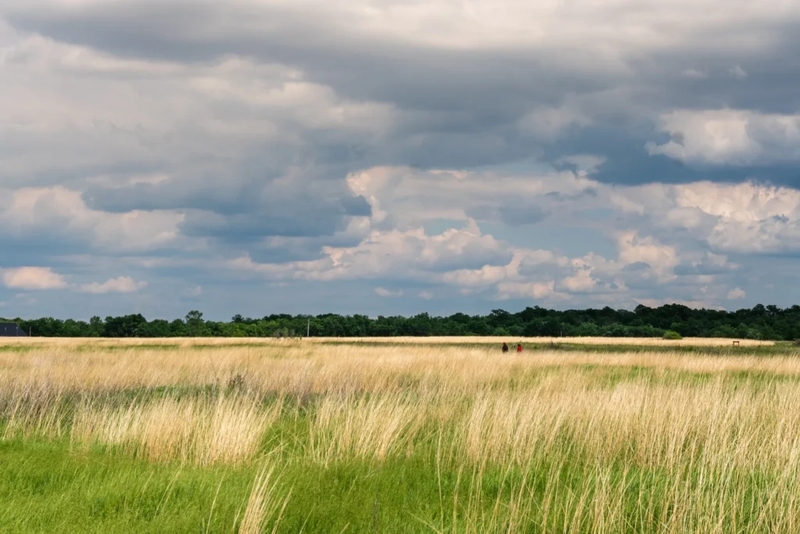 Partisan conflict in Minnesota House threatens to hold up $200 million in conservation funds