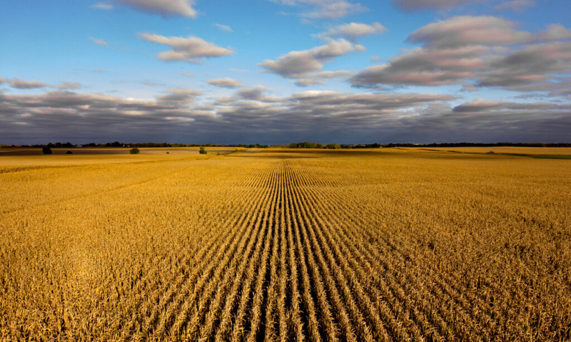 Bayer promises to suspend ‘unfair provisions’ in seed contracts for several years