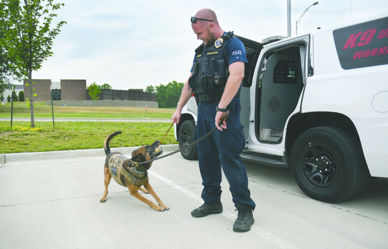 Legal marijuana puts drug-sniffing police dogs out of work in Missouri