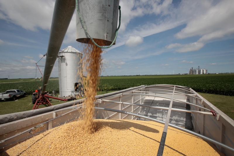 US farmers face $44 billion in losses as costs rise and markets shrink