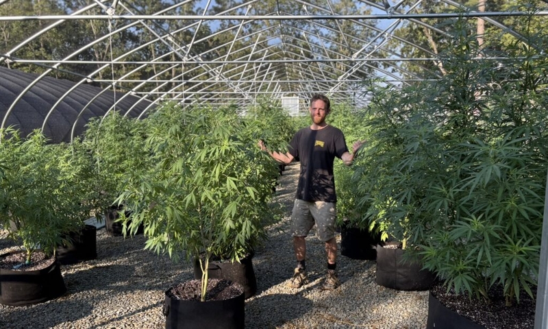 ‘Blood, sweat and tears’: Missouri cannabis microbusiness owners begin to see light