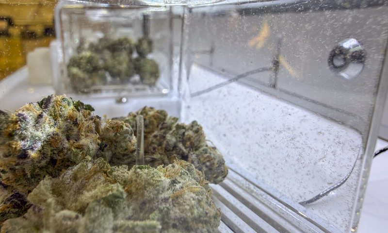 State asks Missouri Supreme Court to block award of 13 marijuana licenses