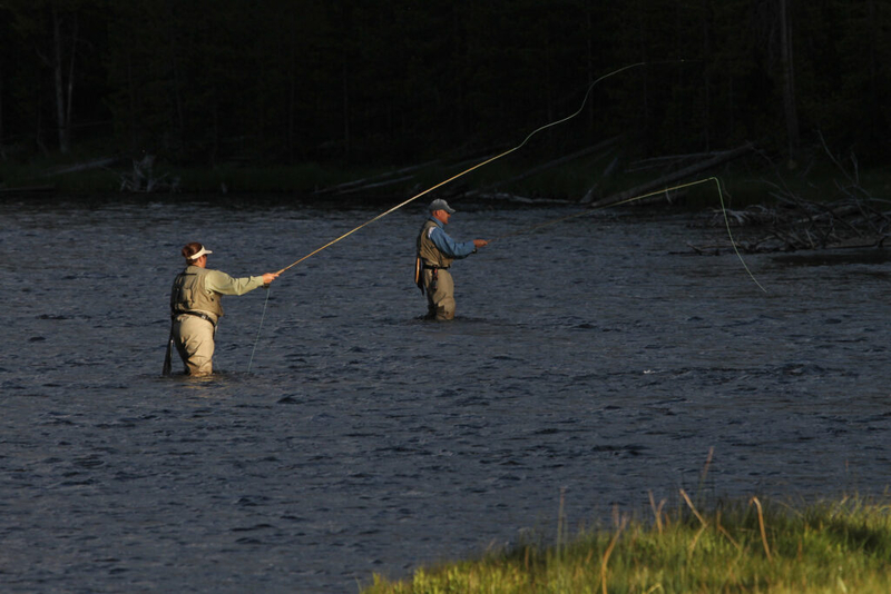 Yellowstone park, Montana continue easing fishing restrictions