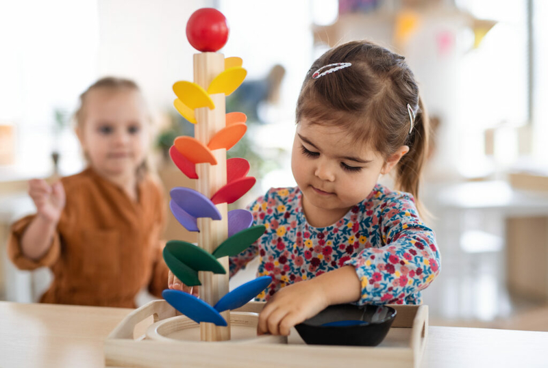 Montanaâs educator Code of Ethics partly revised, but without the word âequityâ