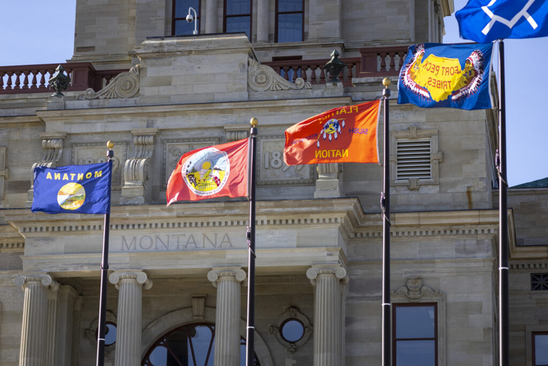 Fraudulent health care scheme stopped in Montana