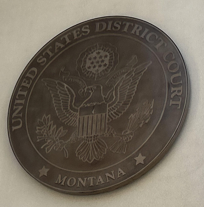 Federal judge orders release of parent, child held by immigration authorities