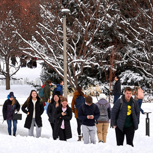 Montana State University under investigation for discrimination on basis of disability