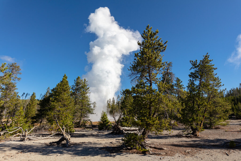 Yellowstone National Park superintendent departs America’s first national park