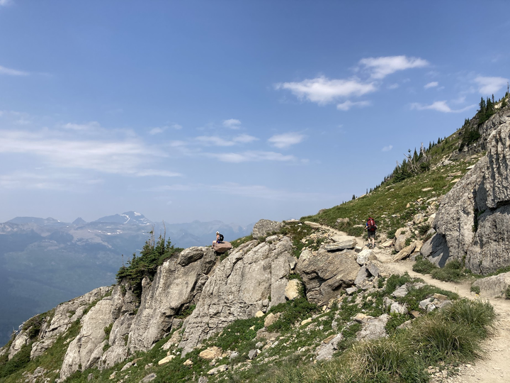 Section of Highline Trail remains closed after grizzly bear encounter, says Glacier