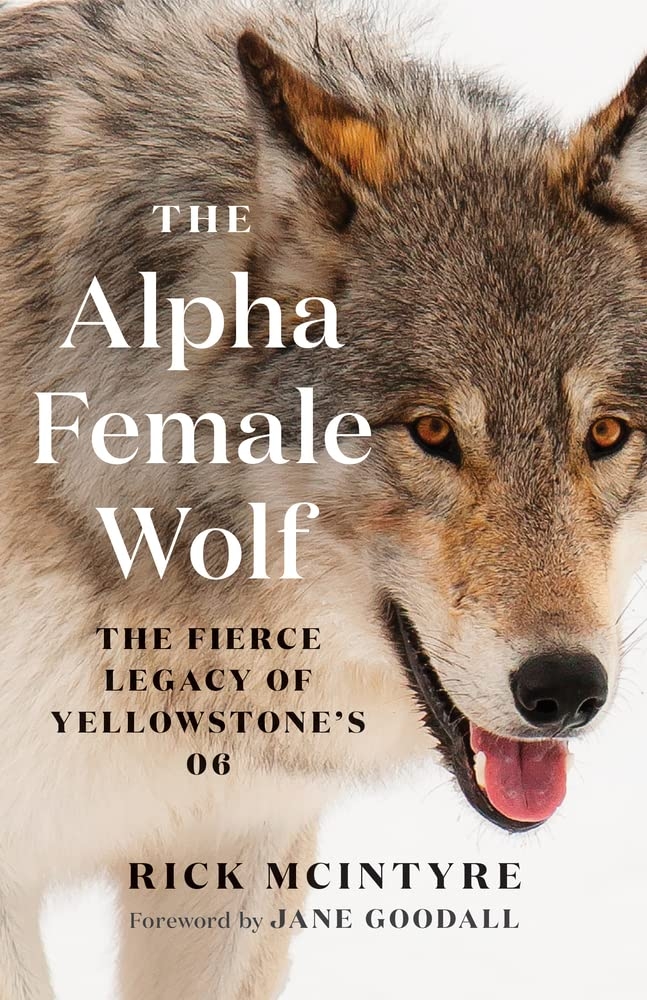 McIntyre’s passion for wolves and Yellowstone shines through in new book