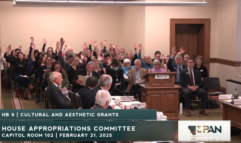 Appropriations committee considers axing funding for some arts and cultural organizations