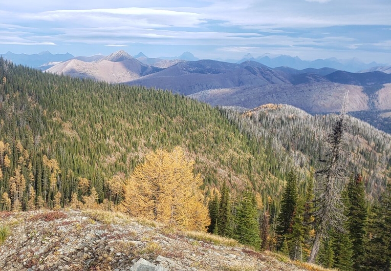 Resolution seeks to release thousands of acres of wilderness study areas from preservaion