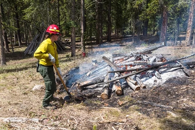 First fire confirmed in Yellowstone National Park in 2025; new webcam