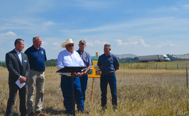 Montana to study adding more wildlife crossings