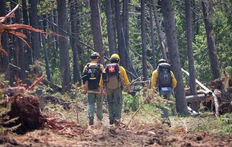 Sheehy, Padilla look to secure hazard pay for prescribed burns