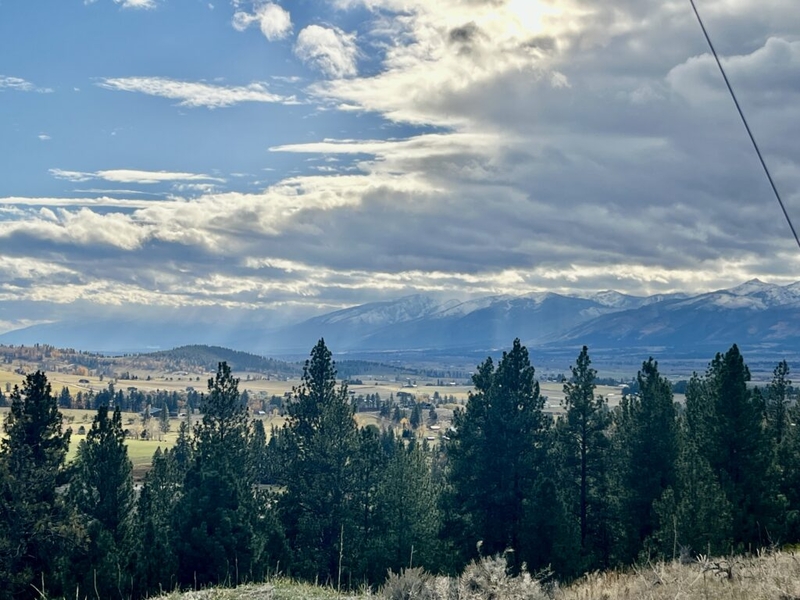 Conservation groups call on Forest Service to reject Sheep Creek ‘mining plan’