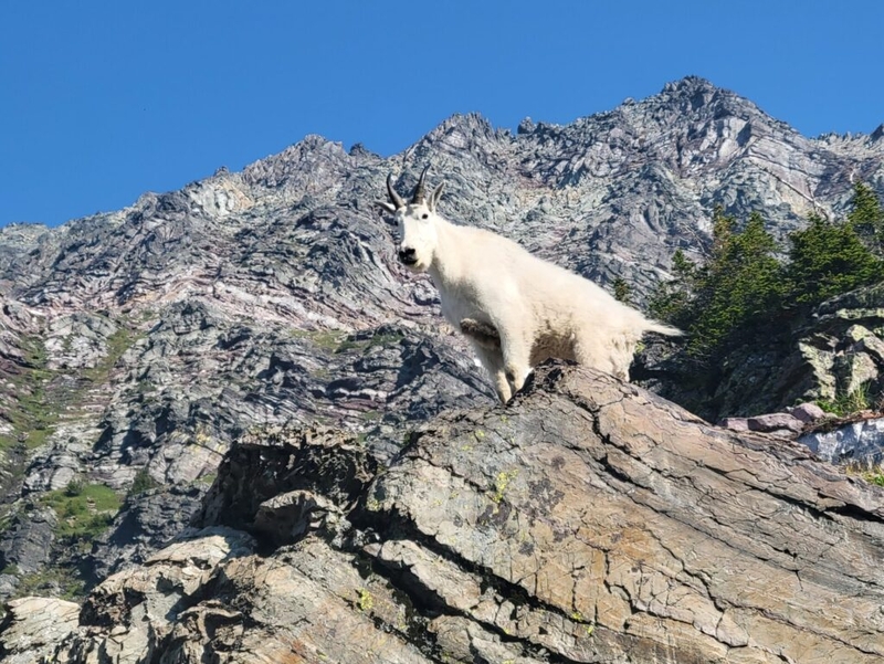 National Park fees head to D.C., while Yellowstone, Glacier wrestle with backlogged maintenance