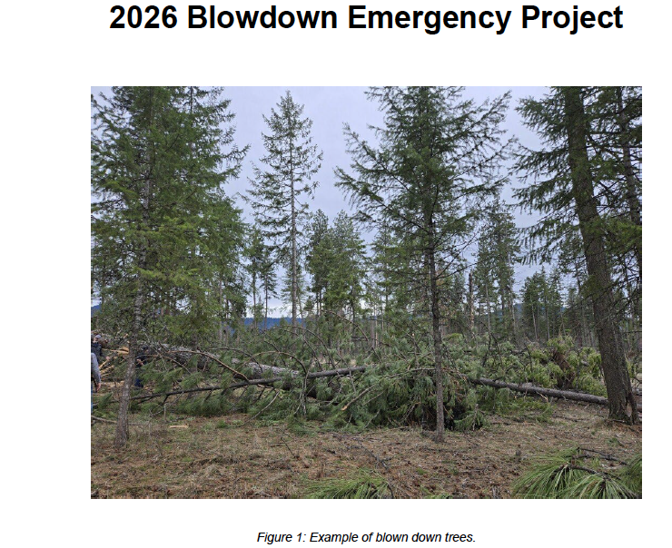 The ‘unintended consequences’ from massive deforestation projects continue to mount