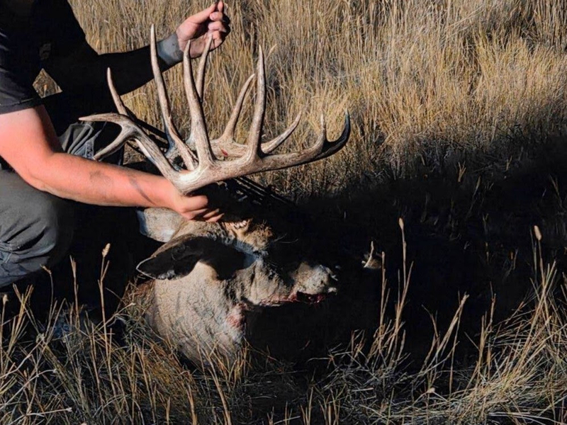 Pondera County man sentenced for poaching trophy buck