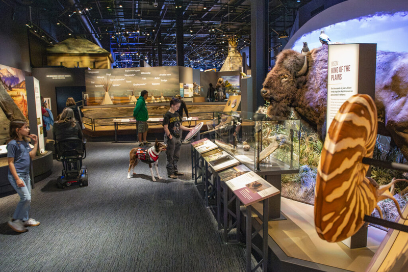 Montana Historical Society reaccredited by national museum org