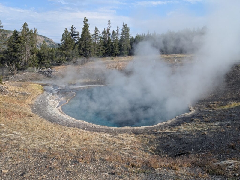 Yellowstone’s ‘thumping’ hot springs