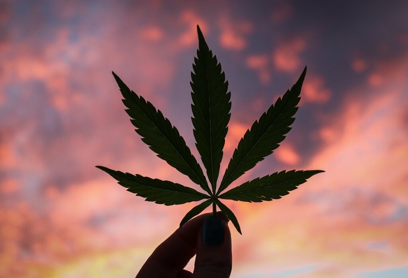 It is time for federal legalization of cannabis