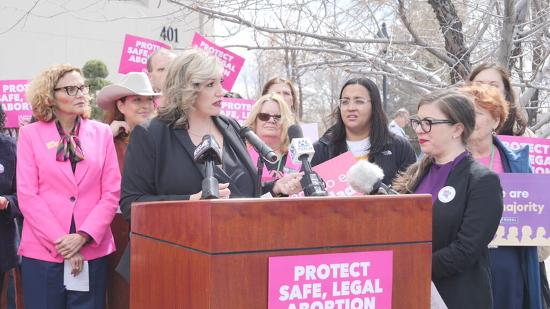 What role will reproductive rights play in the 2026 election?