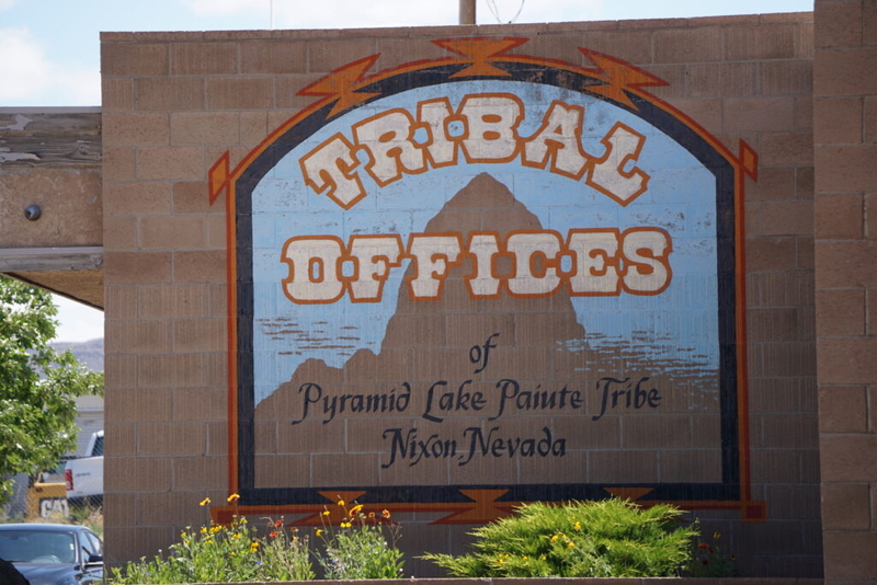 NV tribe sues feds over water rights, failure to protect endangered fish