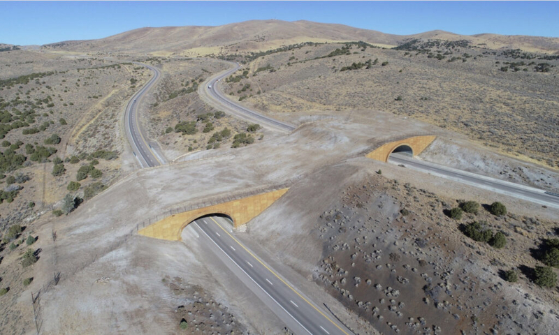 Don’t let Nevada’s wild highways close