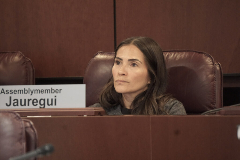 Juaregui seeks audit to learn if state agency is licensing felons to carry firearms 