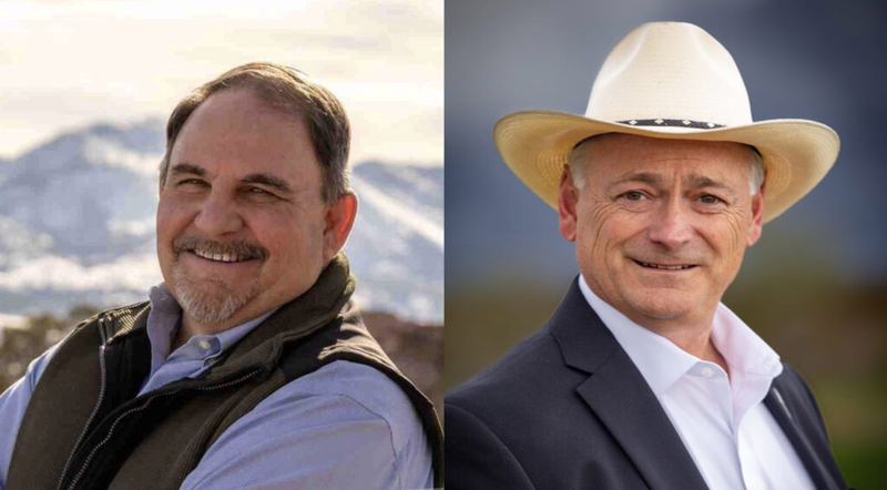 Flippo, Settelmeyer — and 11 more Republicans — seek open Northern Nevada U.S. House seat