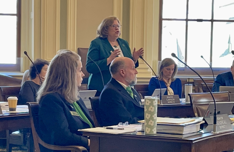 Senate passes controversial parental rights bill, sending it to House