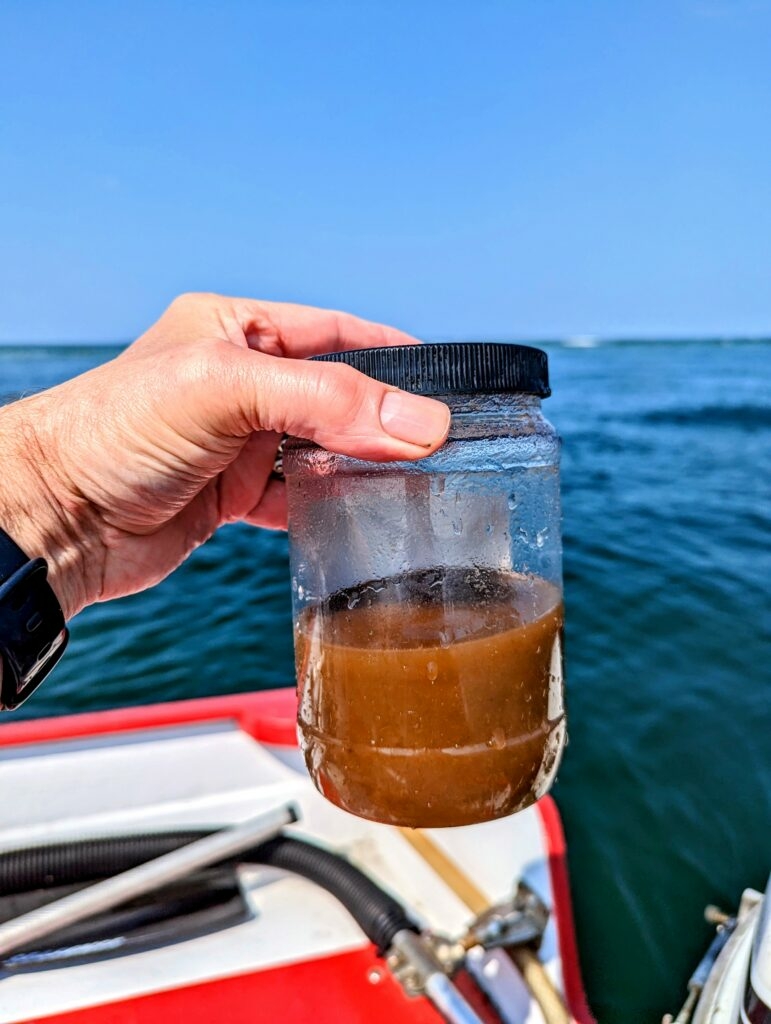 Big, brown, and baffling researchers: Unusual algae bloom in the Gulf of Maine