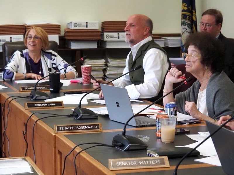 New Hampshire Senate moves to restore panels wiped out by House, with some changes 