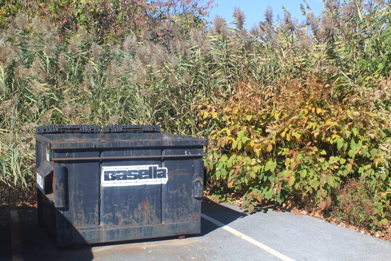 New Hampshire can’t afford to trash the state’s playground